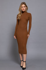 HI NECK RIBBED SWEATER DRESS