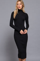 HI NECK RIBBED SWEATER DRESS