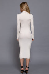HI NECK RIBBED SWEATER DRESS